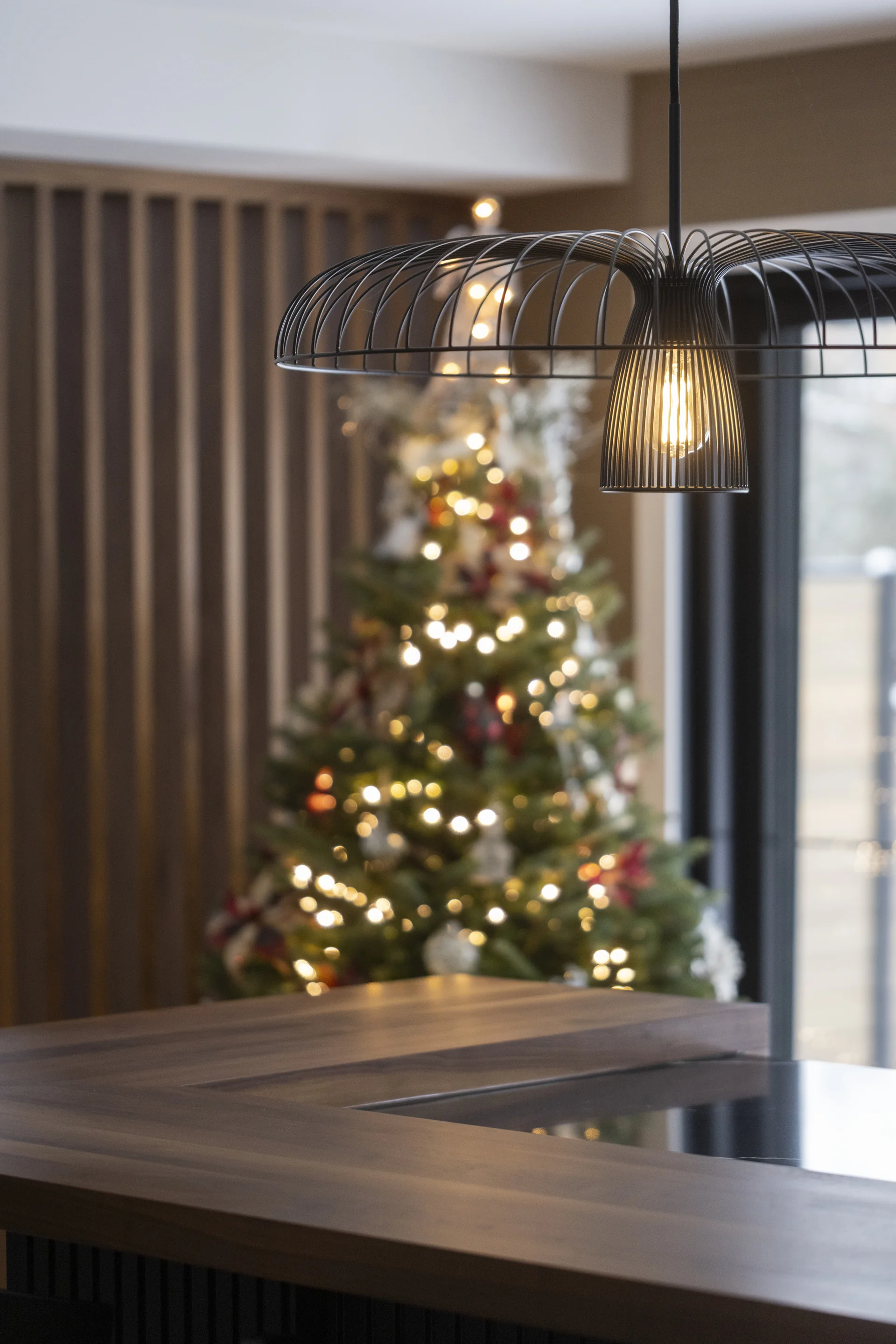 Projet Fluet, photo 27