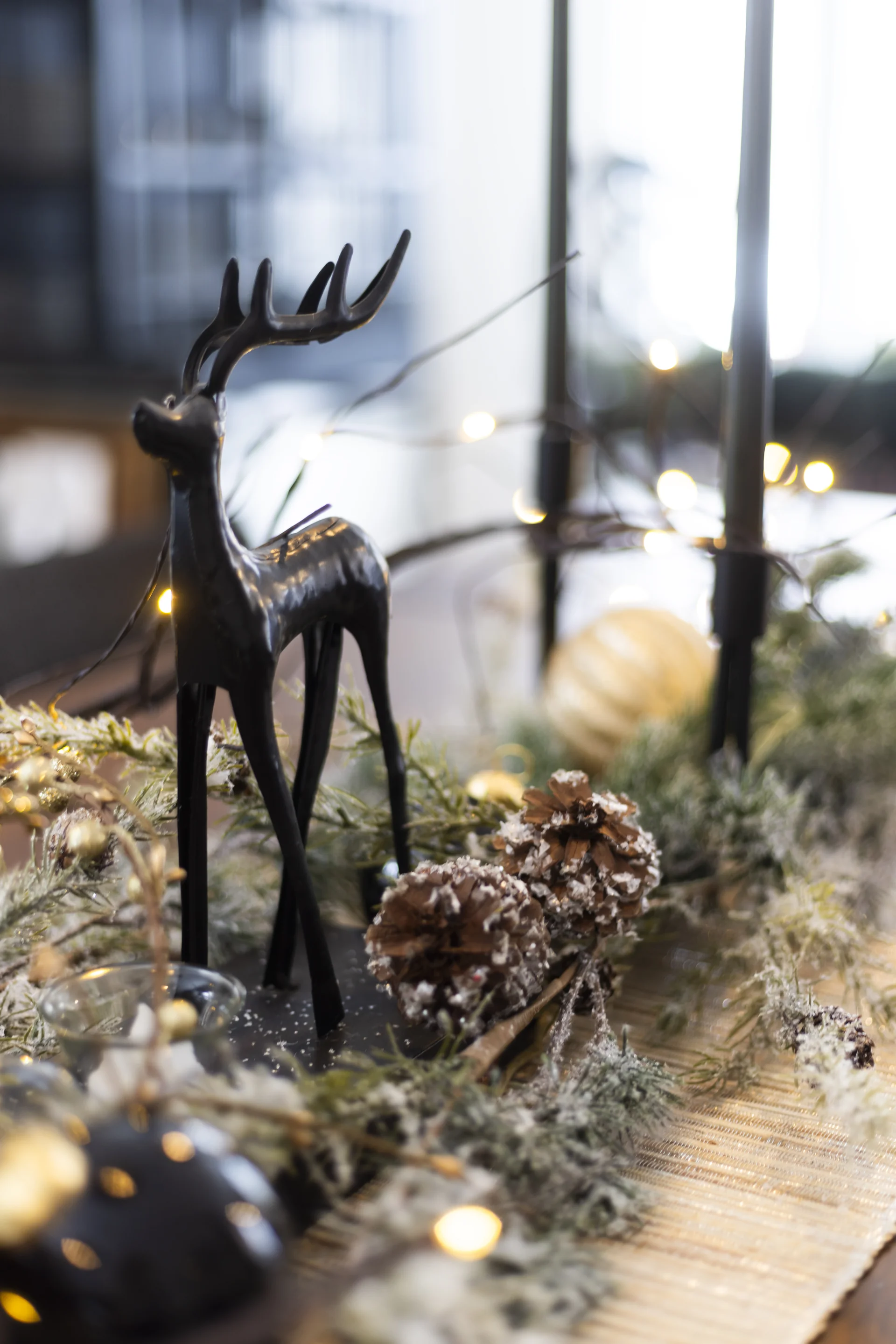 Projet Fluet, photo 31